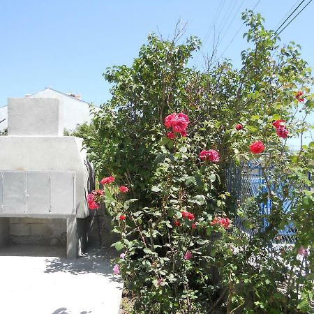אקהטופול Guest House "Tania" מראה חיצוני תמונה