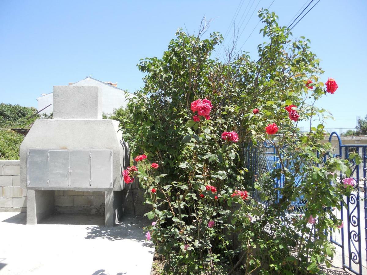 אקהטופול Guest House "Tania" מראה חיצוני תמונה